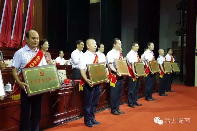 隴南市紀(jì)念建黨95周年暨表彰大會隆重召開