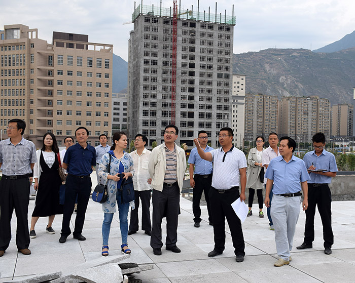 省、市聯(lián)合工作組蒞臨階州廣場檢查指導(dǎo)工作