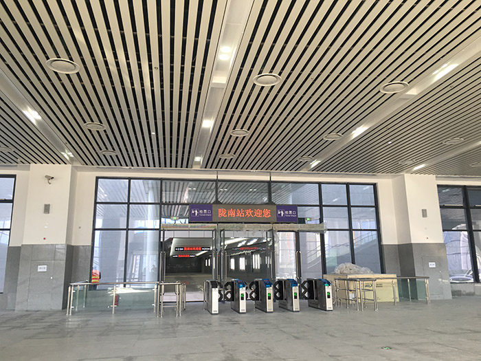 全國、省市政協(xié)委員體驗(yàn)蘭渝鐵路、視察階州廣場