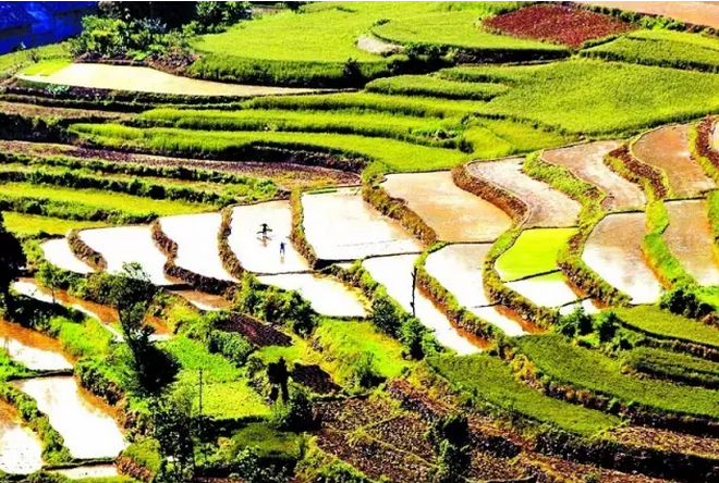 財政部　國務院扶貧辦發(fā)文進一步推進貧困縣統(tǒng)籌整合使用財政涉農(nóng)資金工作