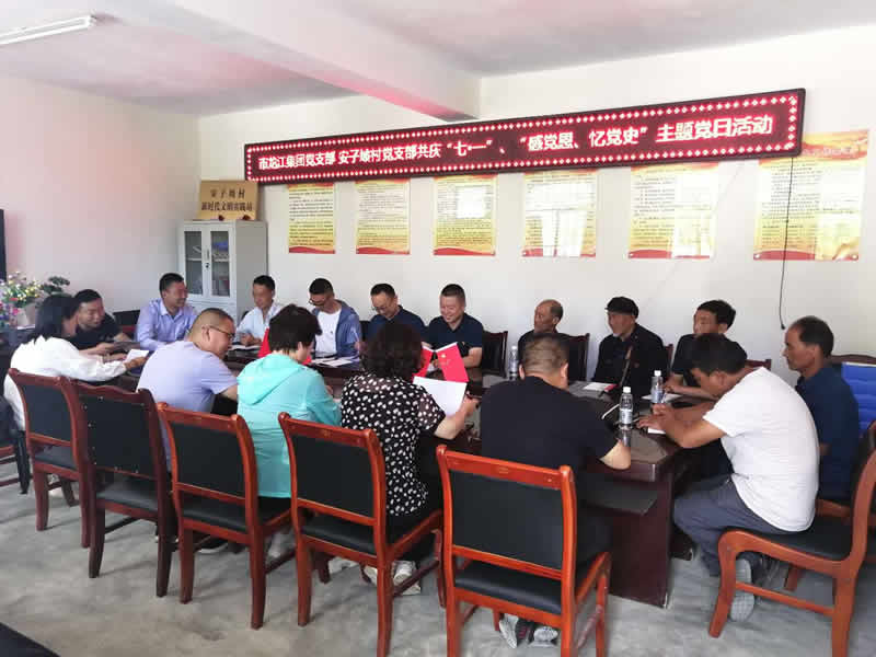 “感黨恩、憶黨史”，--市龍江城鄉(xiāng)發(fā)展集團(tuán)公司開(kāi)展慶祝建黨99周年主題黨日活動(dòng)
