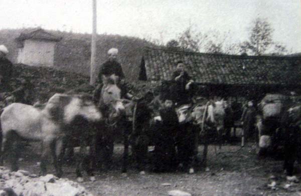 發(fā)展歷程(圖1)