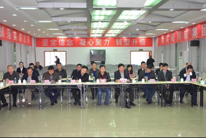 省化解鋼鐵過剩產(chǎn)能復查工作組蒞臨川威復查調(diào)研(圖1)