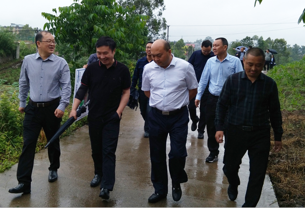 川威集團(tuán)董事長(zhǎng)王勁一行考察仁壽縣(圖1)