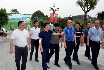 董事長王勁到連界區(qū)域視察調(diào)研