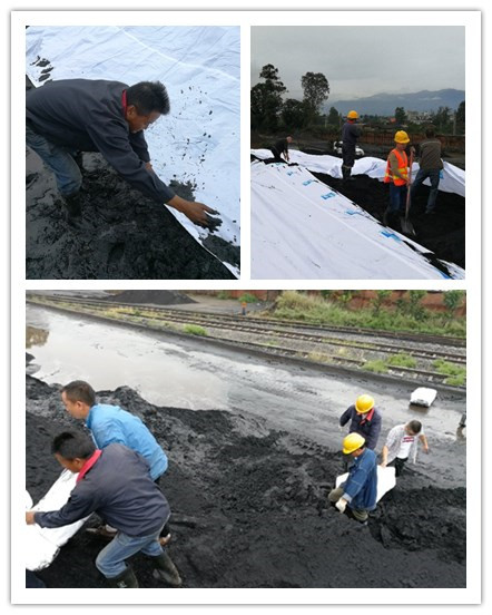 確保物資安全，通宇物流在行動(dòng)(圖1)