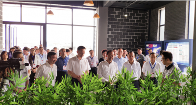 市委書(shū)記馬波率隊(duì)到川威連界區(qū)域現(xiàn)場(chǎng)調(diào)研