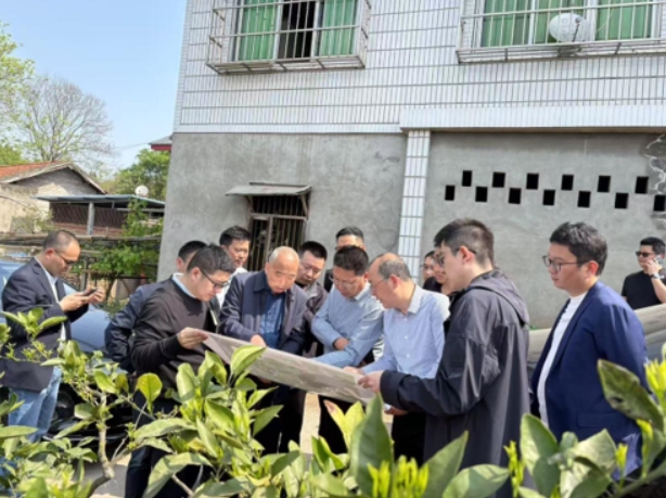 簡(jiǎn)陽(yáng)市委市政府全力推進(jìn)葫蘆壩鄉(xiāng)村振興項(xiàng)目 (圖2)